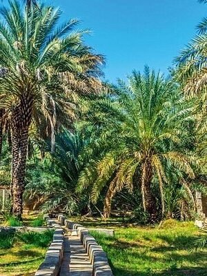 Al Ain Day Trip
