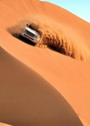 Liwa desert Day Trip with dune bashing